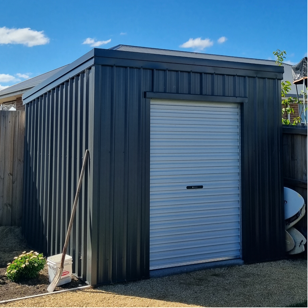 Contemporary shed with native plants in Hobart backyard